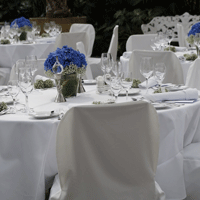 自作ムービーを流そう